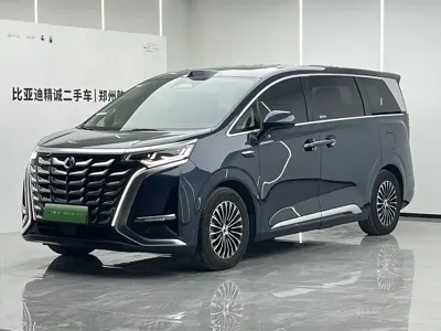 Denza Denza D9