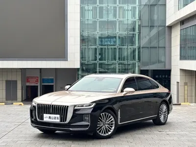 Hongqi Hongqi H9