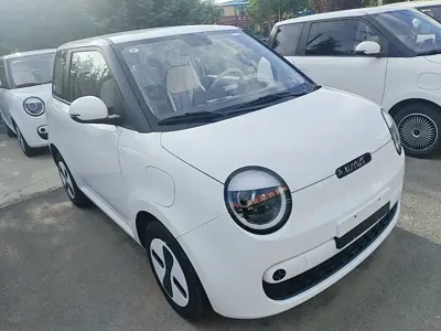 Qiyuan Lumin