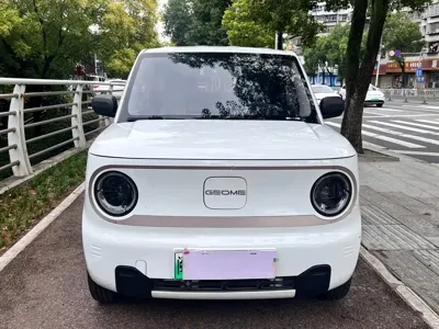 Galaxy Panda