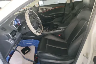 Hyundai Lafesta