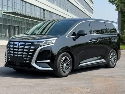 Denza Denza D9