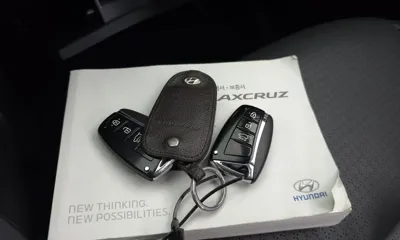 Hyundai Maxcruz