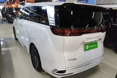 Denza D9