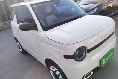 Geely Galaxy Panda