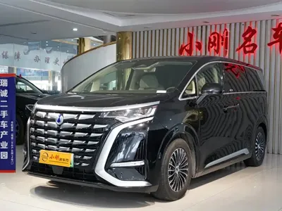 Denza Denza D9