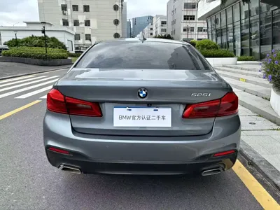 BMW 5 Series (Import)