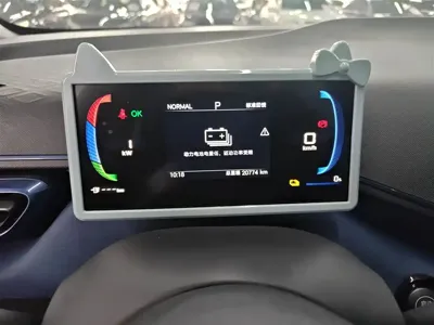 BYD Seagull