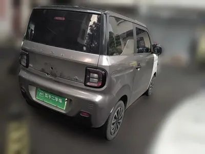 Galaxy Panda
