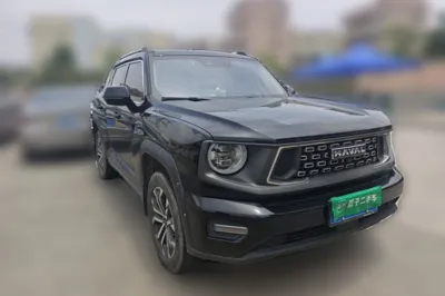 Haval H Dog