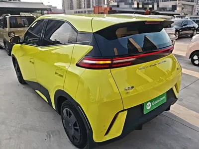 BYD Seagull