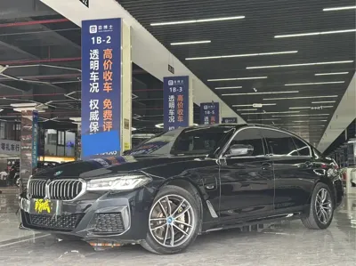 BMW 5 Series New Energy