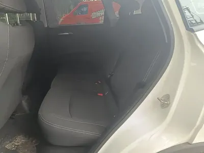 NETA Neta V