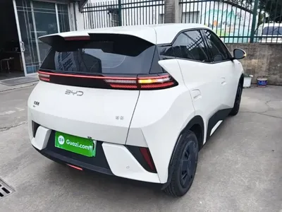 BYD Seagull