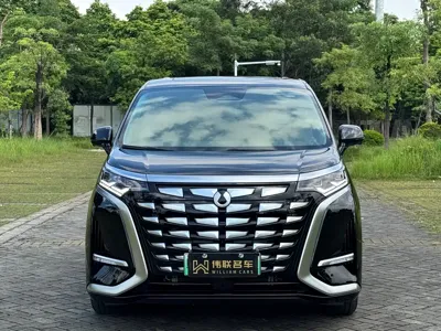 Denza Denza D9