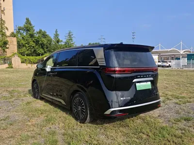 Denza Denza D9