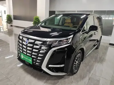 Denza Denza D9