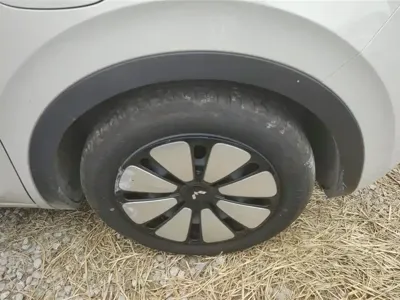 Wuling Bingo