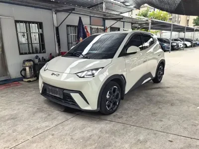 BYD Seagull