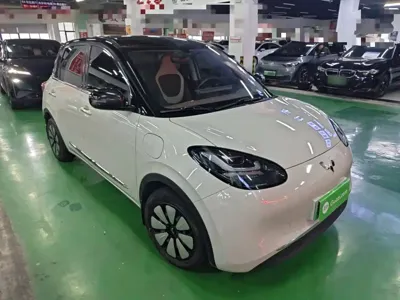 Wuling Bingo