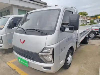 Wuling 五菱龙卡
