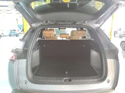 BYD L DM-i