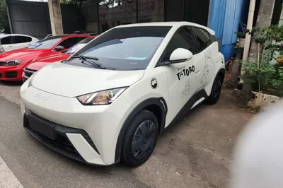 BYD Seagull