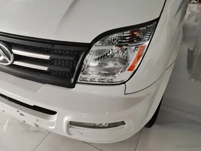 Maxus V80