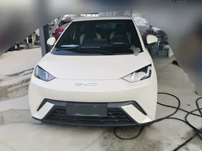 BYD Seagull