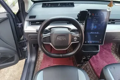 NETA V
