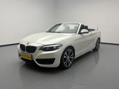 BMW 2 Series (Import)