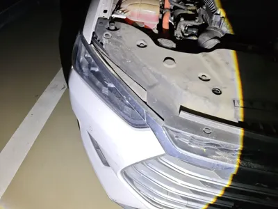 BYD Qin Pro New Energy