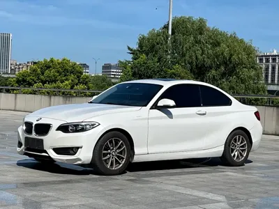 BMW 2 Series (Import)