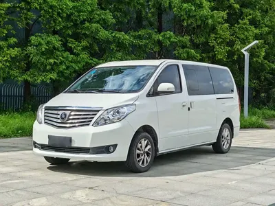 Fengxing Lingzhi PLUS