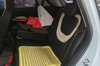 Wuling Bingo