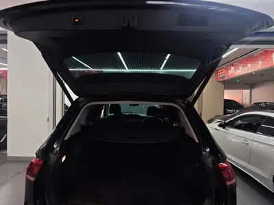 Volkswagen Tiguan L New Energy