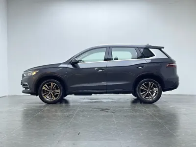BYD Pro