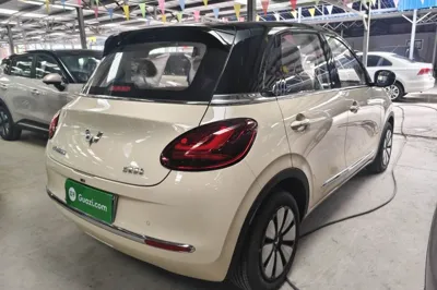 Wuling Bingo