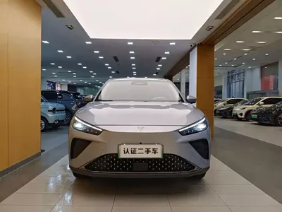 NETA Neta L