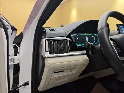 BYD PLUS New Energy