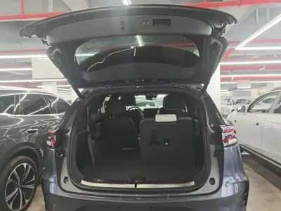 BYD Tang New Energy