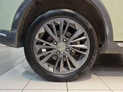 NETA Neta V