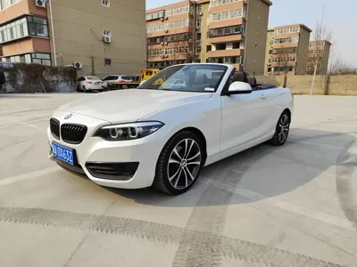 BMW 2 Series (Import)