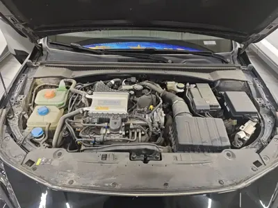 GAC Motor Shadow Leopard