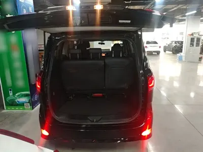Maxus G10