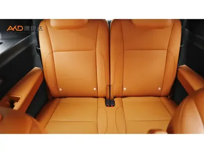 Li Auto Li L9