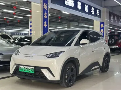 BYD Seagull
