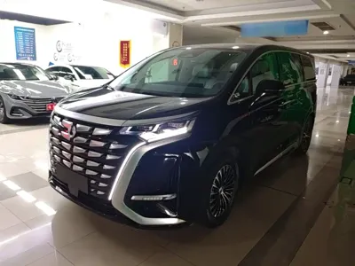 Denza Denza D9