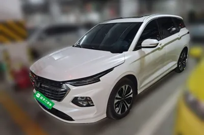 Wuling Victory