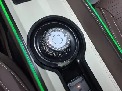 Wuling Bingo